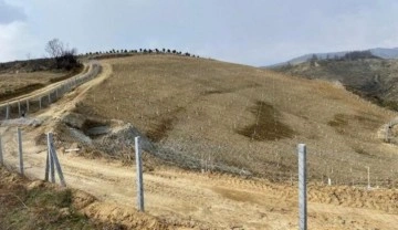 Tarım arazilerine yabancı yatırımcı ilgisi