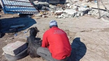 Tarım Bakanlığı, bazı mal ve hizmetleri ücretsiz verecek