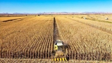 Tarım-ÜFE yıllık yüzde 54,58 arttı