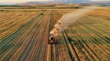 Tarımda tarihin en yüksek ocak-temmuz ihracatı