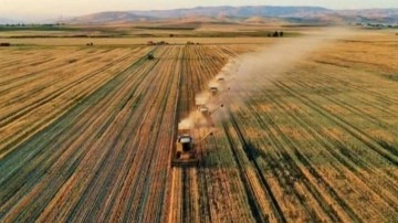 Tarımda üretici fiyatları Ağustos&rsquo;ta azaldı, yıllık artış geriye çekildi!