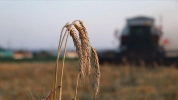 Tarımsal alanda yeni destek ödemesi