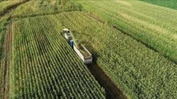 Tarımsal destekleme ödemeleri bugün hesaba yatırılacak