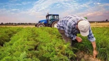 Tarımsal girdi fiyat endeksi martta arttı