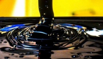 Tayland'daki petrol sızıntısı nedeniyle ülkenin doğusunda OHAL ilan edildi