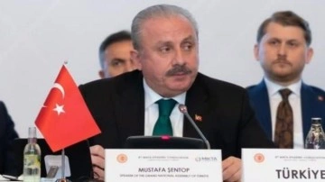 TBMM Başkanı Şentop MIKTA konferansında konuştu