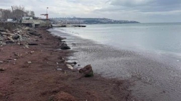 Tekirdağ sahili kırmızı yosunla kaplandı