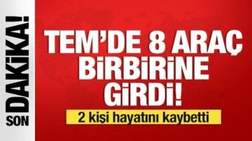 TEM'de zincirleme kaza: 2 kişi öldü