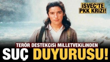 Terör örgütü PKK/YPG destekçisi milletvekilinden, İsveçli Bakan hakkında suç duyurusu