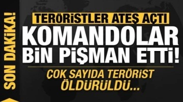 Teröristler ateş açtı, komandolar bin pişman etti: Çok sayıda terörist öldürüldü!