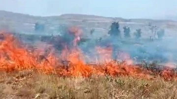 Tunceli'de arazi yangını