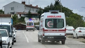 Tunceli’de topladıkları mantarları yiyen anne ve oğlu zehirlendi