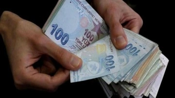 Türk Lirası kredi çekip döviz aldılar