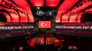 Türk Takımı Denizbank İstanbul Wildcats, Dünya Kupasında 1.3 milyon TL kazandı