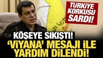 Türkiye korkusu sardı: Köşeye sıkışan terörist Mazlum Abdi'den 'Viyana' göndermesi!