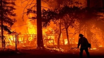Türkiye ve Azerbaycan'dan orman yangını işbirliği
