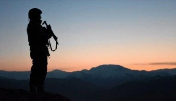 Türkiye'ye girmeye çalışan PKK'lı terörist yakalandı