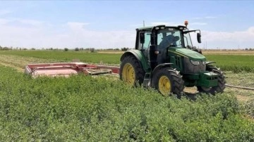 Tuz Gölü Havzası'nda yonca verimi üreticinin yüzünü güldürüyor