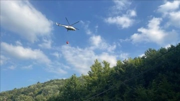 Uludağ'ın eteklerinde çıkan orman yangını kontrol altına alındı