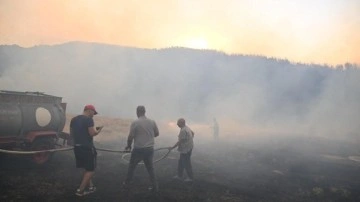 Uşak'ta orman yangını 2'nci gününde