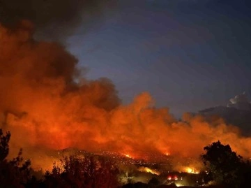 Uşak’ta ormanlık alana sıçrayan yangına müdahale sürüyor