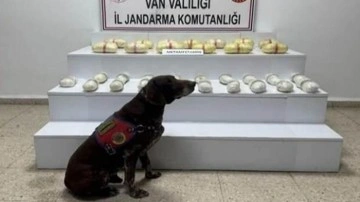 Van’da 181 kilo uyuşturucu ele geçirildi