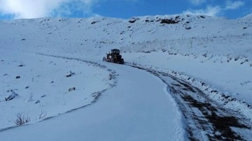 Van'ın yüksek kesimlerine kar yağdı