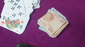 Van'da kumar oynayan 8 kişiye 14 bin 552 lira ceza