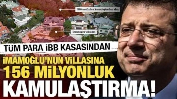 Villalarında ağaç kıyımı yapmıştı: İBB kasasından İmamoğlu'na 156 milyonluk kamulaştırma!