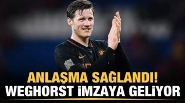 Wout Weghorst'la anlaşma sağlandı! Çarşamba günü İstanbul'a geliyor