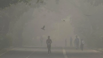 Yeni Delhi'de hava kirliliği alarmı! Vatandaşlara uyarı: “Evden çıkmayın”