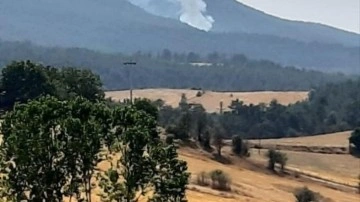 Yine yangın çıktı, helikopterler havalandı!