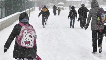 Yoğun kar yağışı nedeniyle 14 ilde okullarda yüz yüze eğitime ara verildi