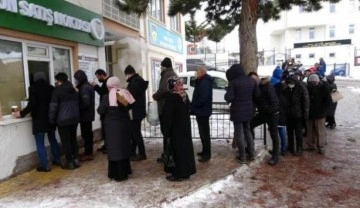 Yozgat'ta 99 liradan satılan ay çiçek yağına yoğun ilgi