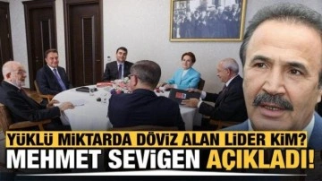 Yüklü miktarda döviz alan lider kim? Mehmet Sevigen açıkladı