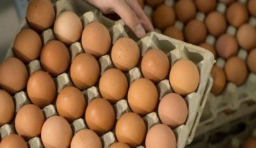 YUM-BİR'den fiyat açıklaması: Yumurtada fahiş fiyat yok, zarar ediyoruz