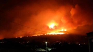 Yunanistan'da orman yangınları nedeniyle bir köy tahliye edildi