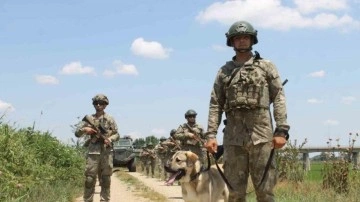 Yunanistan'a kaçarken yakalanan 2 FETÖ mensubu tutuklandı