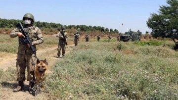 Yunanistan'a kaçmaya hazırlanan FETÖ şüphelisi tutuklandı