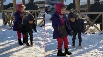 Yürek ısıtan görüntüler! Küçük çocuk, yavru sokak köpeğini sırtında taşıyıp sahip çıktı