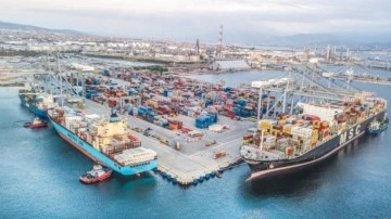 Yüzde 100'lük artış: Türkiye'den deniz salyangozu ihracatı