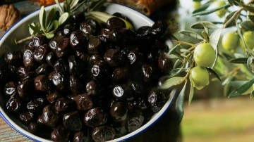 Zeytin çekirdeği yutulur mu? Zeytin çekirdeği faydaları nelerdir?